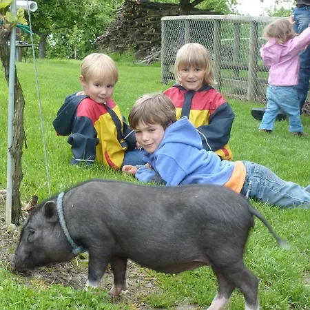 Apartman Obst- Und Gomeringer