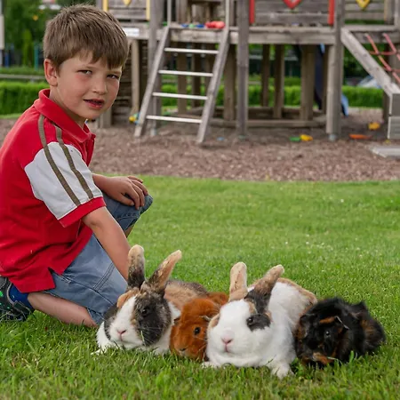 Apartman Obst- Und Gomeringer Immenstaad am Bodensee