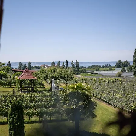 Apartman Obst- Und Gomeringer Immenstaad am Bodensee
