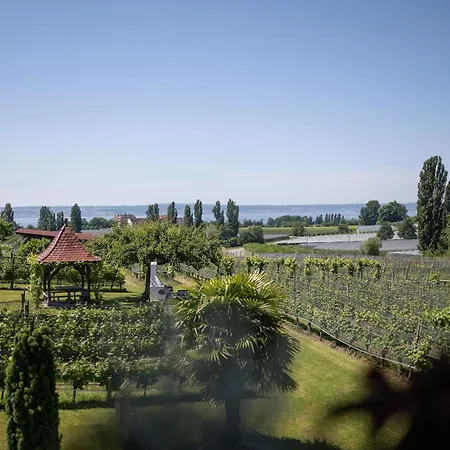 Apartman Obst- Und Gomeringer *