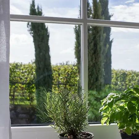 Obst- Und Gomeringer Appartement *