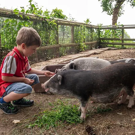 Obst- Und Gomeringer Apartman